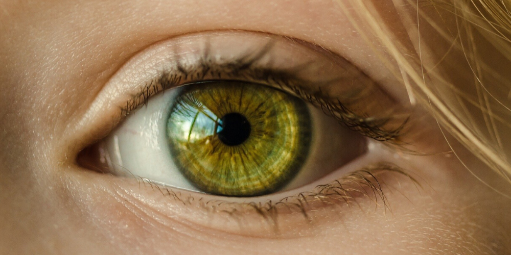 visual field